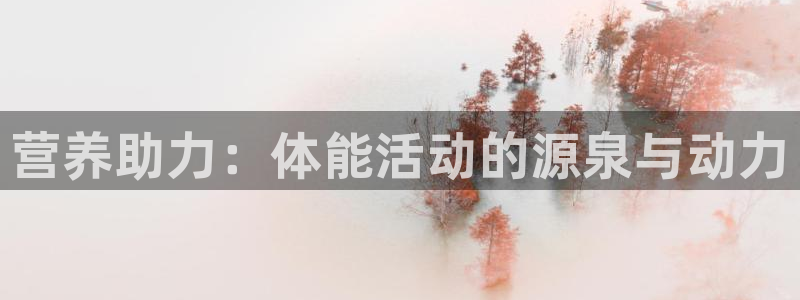 678体育官网
