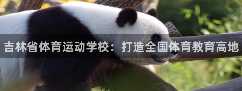 678体育官网地址