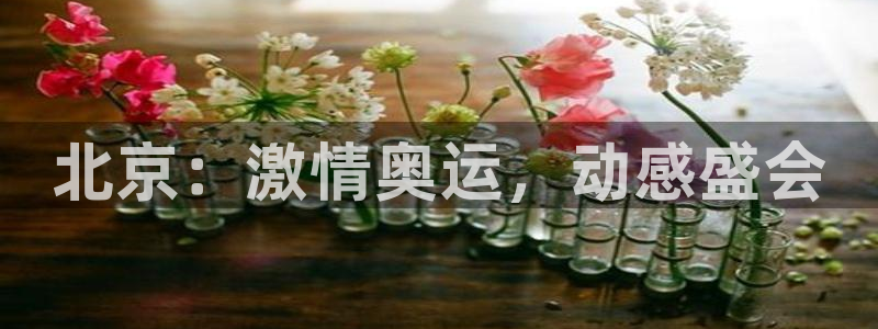 678体育app：北京：激情奥运，动感盛会