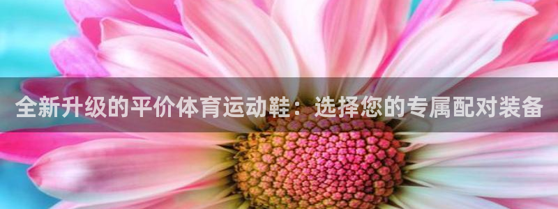 678体育官网地址：全新升级的平价体育运动鞋：选择您的专属配对装备
