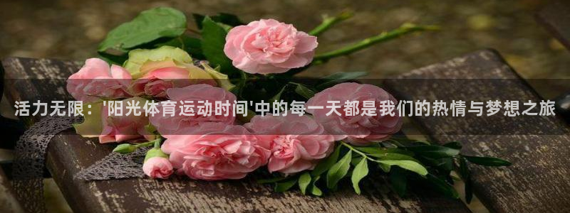 678体育官网：活力无限：\'阳光体育运动时间\'中的每一天都是我们的热情与梦想之旅