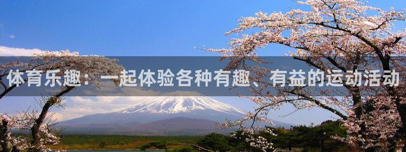 678体育官网：体育乐趣：一起体验各种有趣、有益的运动活动