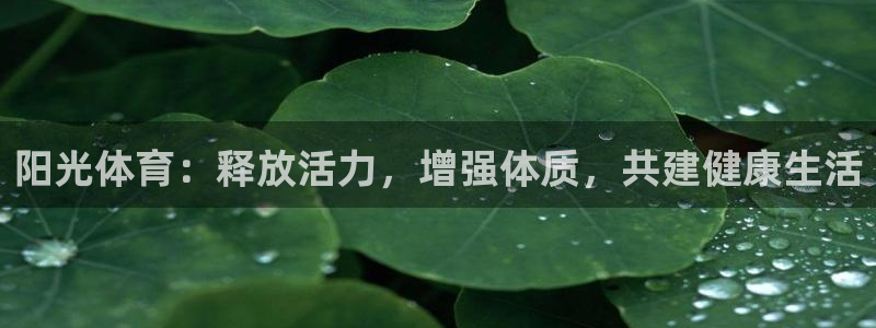 678体育app：阳光体育：释放活力，增强体质，共建健康生活