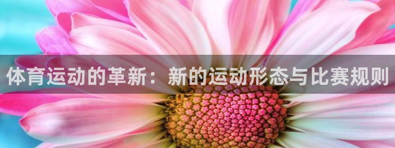 678体育
