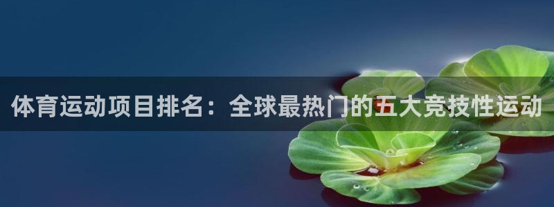 678体育知识：体育运动项目排名：全球最热门的五大竞技性运动