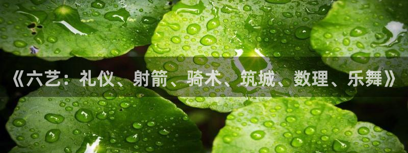 678体育知识：《六艺：礼仪、射箭、骑术、筑城、数理、乐舞》